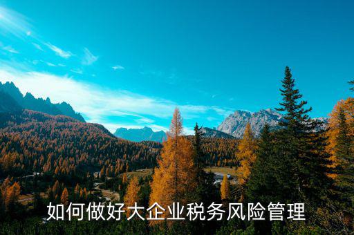 如何加強(qiáng)對重點企業(yè)的稅務(wù)管理，加強(qiáng)大企業(yè)的稅收管理有何良策