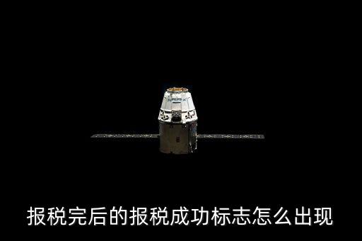 山西稅務(wù)如何查看報稅是否成功，報稅完后的報稅成功標志怎么出現(xiàn)