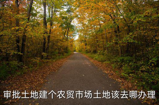 農(nóng)貿(mào)市場土地如何取得，審批土地建個農(nóng)貿(mào)市場土地該去哪辦理