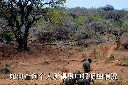 山東如何查詢個(gè)人所得稅查詢，如何查詢個(gè)人所得稅申報(bào)明細(xì)情況