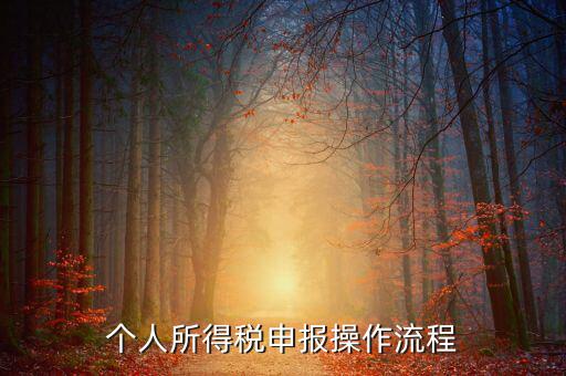 自然人所得稅如何安裝，個人所得稅如何進(jìn)行申報和核算