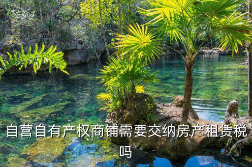 自有商鋪如何繳租賃稅，自有商鋪 是否交出租稅