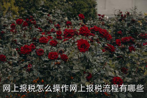 江蘇省網(wǎng)上稅務(wù)局如何報稅，網(wǎng)上報稅怎么操作網(wǎng)上報稅流程有哪些