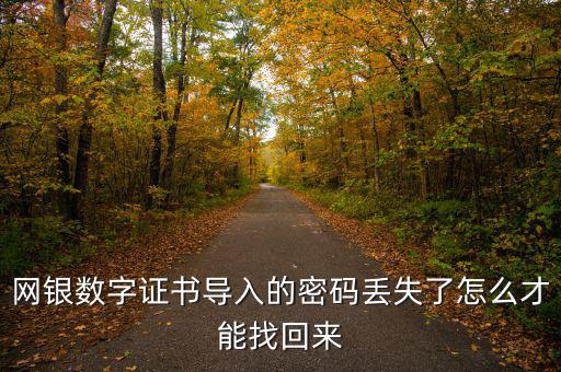 數(shù)字證書密碼錯誤如何找回，營業(yè)執(zhí)照數(shù)字證書密碼忘記了 怎么辦