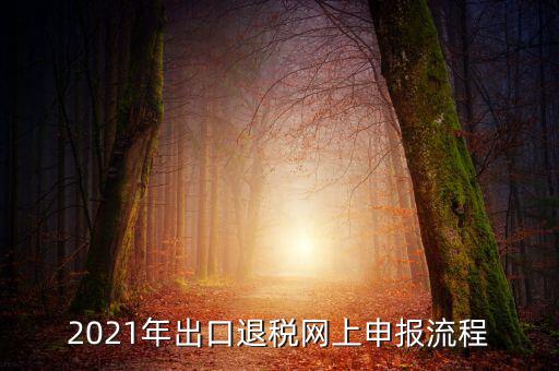 如何登錄出口退稅網(wǎng)，出口退稅申報流程操作