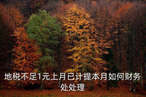 財務(wù)處如何落實數(shù)據(jù)地稅，地稅不足1元上月已計提本月如何財務(wù)處處理