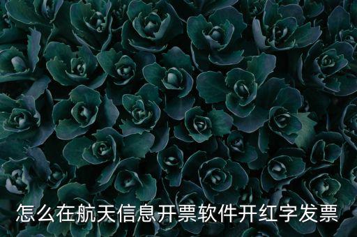 航天信息如何開票系統(tǒng)，航天信息開票系統(tǒng)