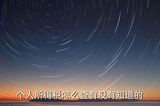 張家港個(gè)人所得稅如何查詢(xún)，個(gè)人所得稅怎么查有沒(méi)有知道的