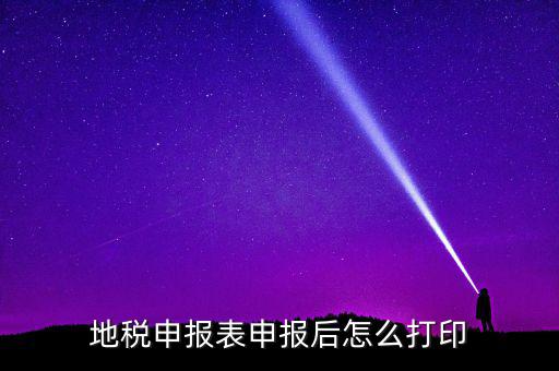 地稅如何打印申報表，地稅納稅申報表怎么打印