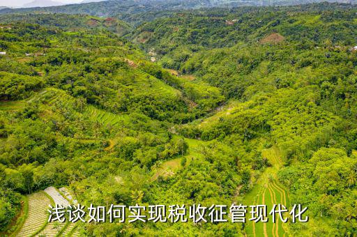 談?wù)勅绾瓮七M(jìn)新時(shí)代稅收現(xiàn)代化，淺談如何實(shí)現(xiàn)稅收征管現(xiàn)代化