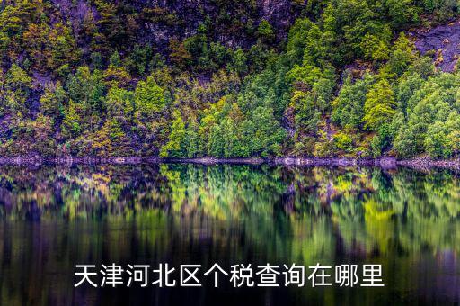 河北如何查詢個稅應納稅額，您好想咨詢一下現(xiàn)在個稅是全國聯(lián)網(wǎng)了么如北京地稅局可以查詢