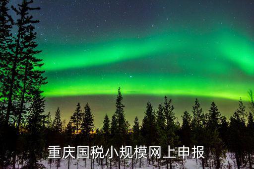 重慶市電子稅務(wù)局如何申報(bào)，重慶國稅12366電子稅務(wù)局怎樣申報(bào)財(cái)務(wù)報(bào)表