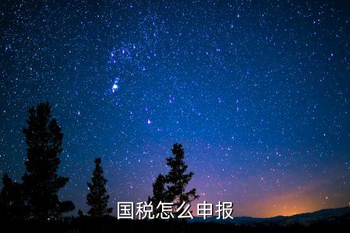 北京國稅如何登陸申報(bào)，國稅如何網(wǎng)上零申報(bào) 具體步驟有五個(gè)