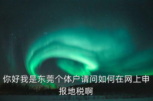 東莞個稅如何申報，你好我是東莞個體戶請問如何在網(wǎng)上申報地稅啊