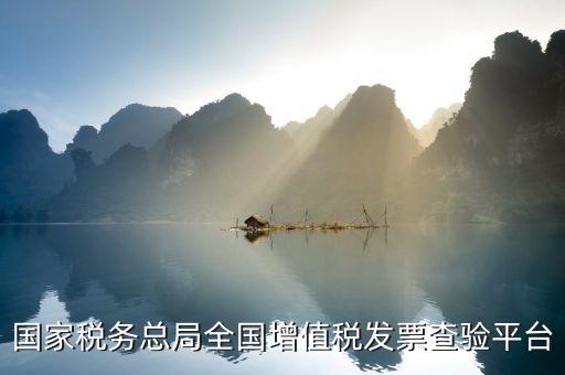 全國增值稅普通發(fā)票如何查詢系統(tǒng)，發(fā)票查驗在哪里查