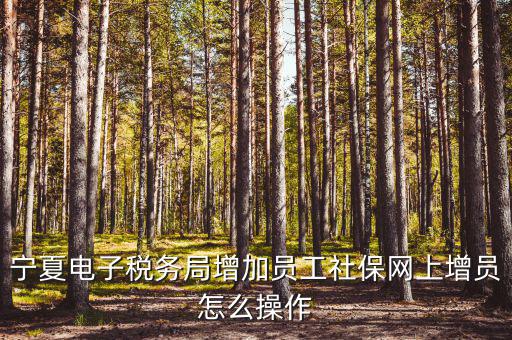 寧夏電子稅務(wù)系統(tǒng)如何開通，開通電子稅務(wù)局需要帶些什么東西去稅務(wù)局才能開通