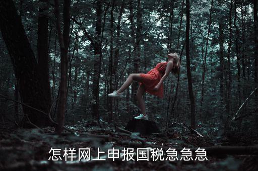 國稅網(wǎng)上稅務(wù)如何申報，怎樣網(wǎng)上申報國稅急急急