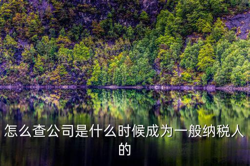 如何查詢一般人納稅認定時間，怎么查公司是什么時候成為一般納稅人的