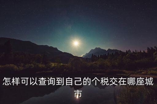 如何查詢個(gè)人所得稅所交地點(diǎn)，怎樣可以查詢到自己的個(gè)稅交在哪座城市
