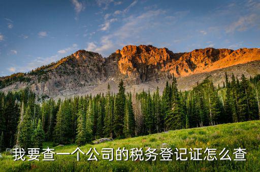 如何查詢稅務(wù)登記表，稅務(wù)登記證查詢