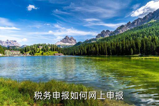 自然人如何網(wǎng)上報稅，稅務(wù)申報如何網(wǎng)上申報
