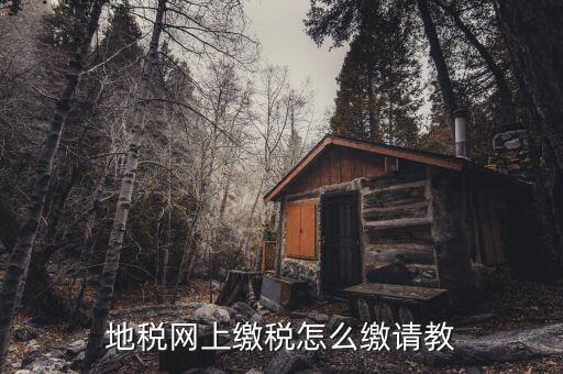 地稅如何交稅嗎，地稅網(wǎng)上繳稅怎么繳請教