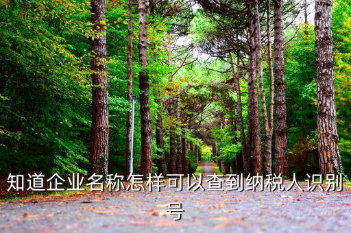 納稅識(shí)別號(hào)如何查詢，納稅識(shí)別號(hào)在哪里可以查到