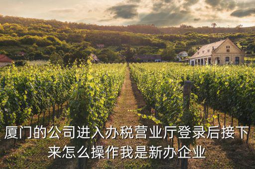 廈門公司如何辦理稅務(wù)，廈門公司如何申請一般納稅人