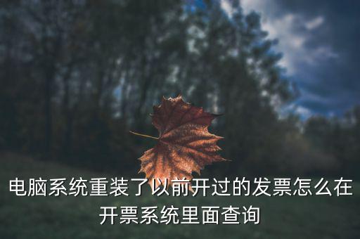 電腦系統重裝了以前開過的發(fā)票怎么在開票系統里面查詢