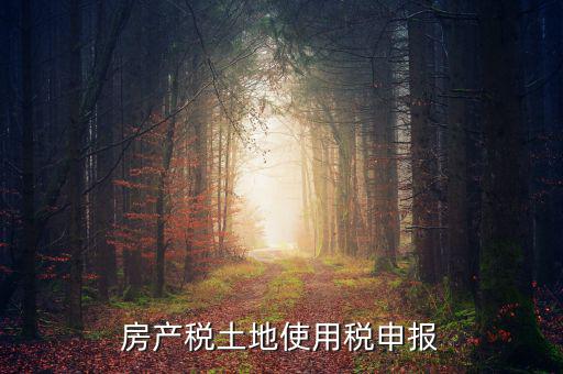 金稅三期如何申報土地使用稅，房產(chǎn)稅土地使用稅申報