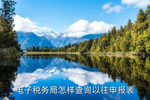 云廳里如何查看往期申報表，國稅網(wǎng)上辦稅平臺如何查詢以前年度增值稅納稅申報表