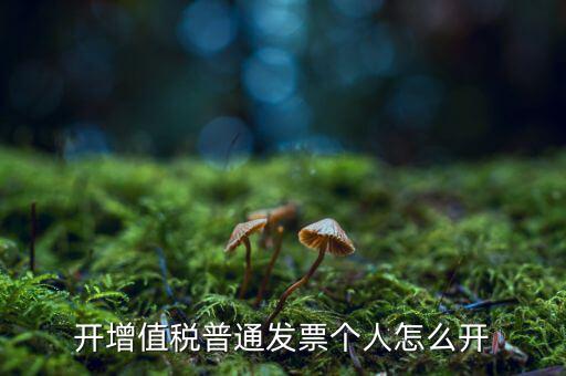 普票如何開給個人，增值稅普通發(fā)票開個人需要什么資料