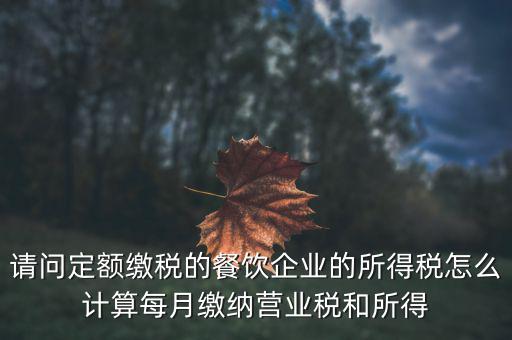 定額納稅企業(yè)如何計算公式，企業(yè)稅金計算公式
