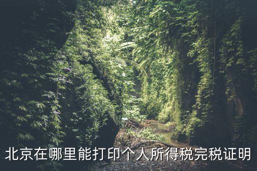 北京如何打個稅證明，北京買房 如何開個稅證明