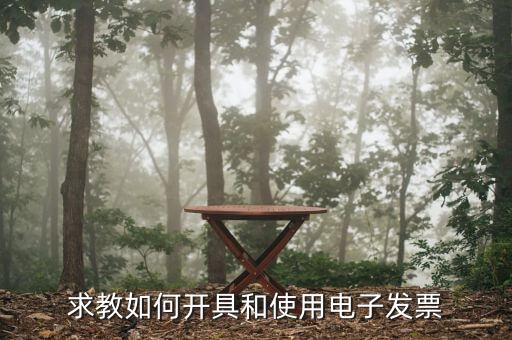 網(wǎng)上開票如何操作，現(xiàn)在開票如何在網(wǎng)上提交請(qǐng)列出詳細(xì)操作過(guò)程