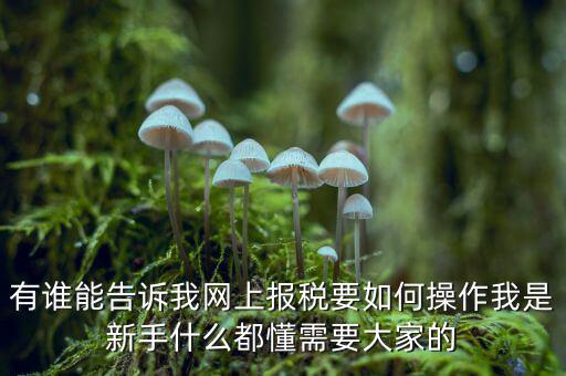 黑龍江如何報(bào)稅，黑龍江報(bào)稅