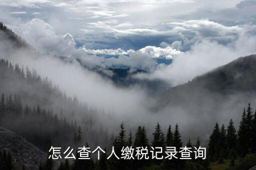 陜西省如何查詢個(gè)稅繳納記錄，怎樣查看個(gè)稅和附加稅是否已交