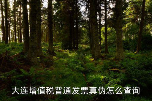 大連定額發(fā)票如何查詢系統(tǒng)，大連增值稅普通發(fā)票真?zhèn)卧趺床樵?/></a></span><span id=