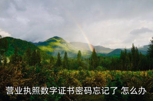 如何找回?cái)?shù)字證書密碼，營(yíng)業(yè)執(zhí)照數(shù)字證書密碼忘記了 怎么辦
