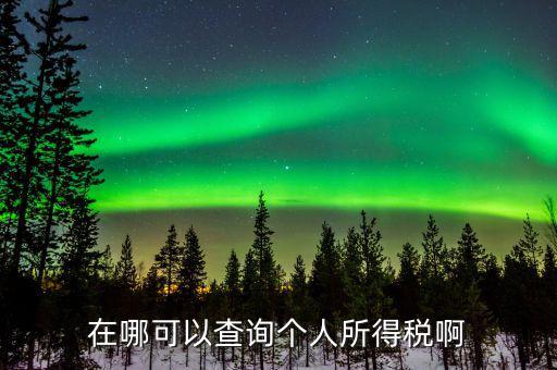 如何查詢個(gè)人所得稅記錄，在哪可以查詢個(gè)人所得稅啊