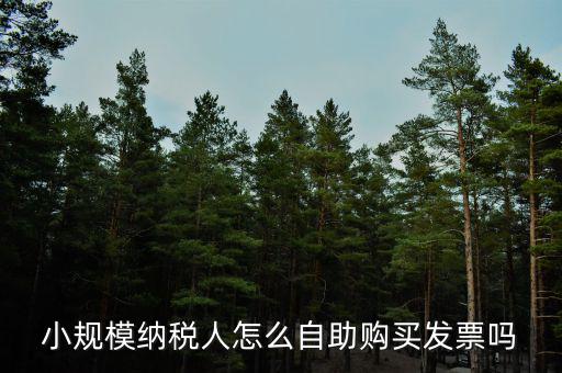 小規(guī)模如何領(lǐng)購(gòu)發(fā)票，小規(guī)模納稅人領(lǐng)取發(fā)票程序