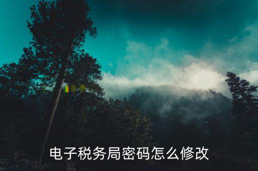 如何設(shè)置電子納稅用戶密碼，電子稅務(wù)局登錄密碼怎么設(shè)置