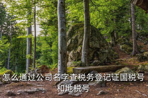 如何查詢企業(yè)國稅，怎么通過公司名字查稅務登記證國稅號和地稅號