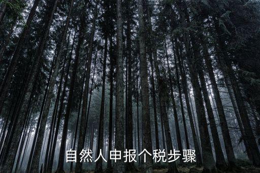自然人稅收如何申報(bào)表，自然人申報(bào)個(gè)稅步驟