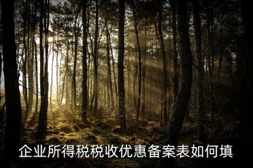 如何填寫企業(yè)所得稅優(yōu)惠事項(xiàng)備案表，企業(yè)所得稅減免稅備案表填寫