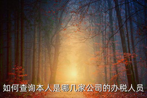 如何查詢企業(yè)辦稅人信息，怎么查詢單位登記稅務經(jīng)辦人