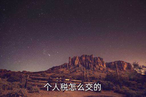 自然人如何繳納個稅，個人稅怎么交的