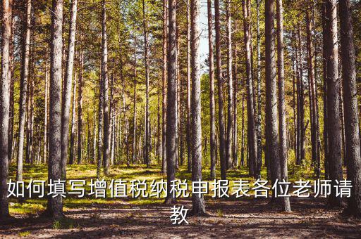 增值稅納稅申報(bào)表如何填報(bào)，增值稅申報(bào)表如何填寫