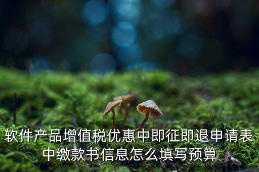 即征即退的退稅申請表如何填寫，軟件產(chǎn)品增值稅優(yōu)惠中即征即退申請表中繳款書信息怎么填寫預算