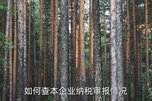 如何查詢公司納稅情況，如何查本企業(yè)納稅審報(bào)情況